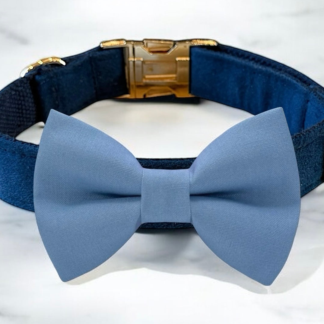 A blue bow tie with a gold buckle collar is displayed on a white marble surface.