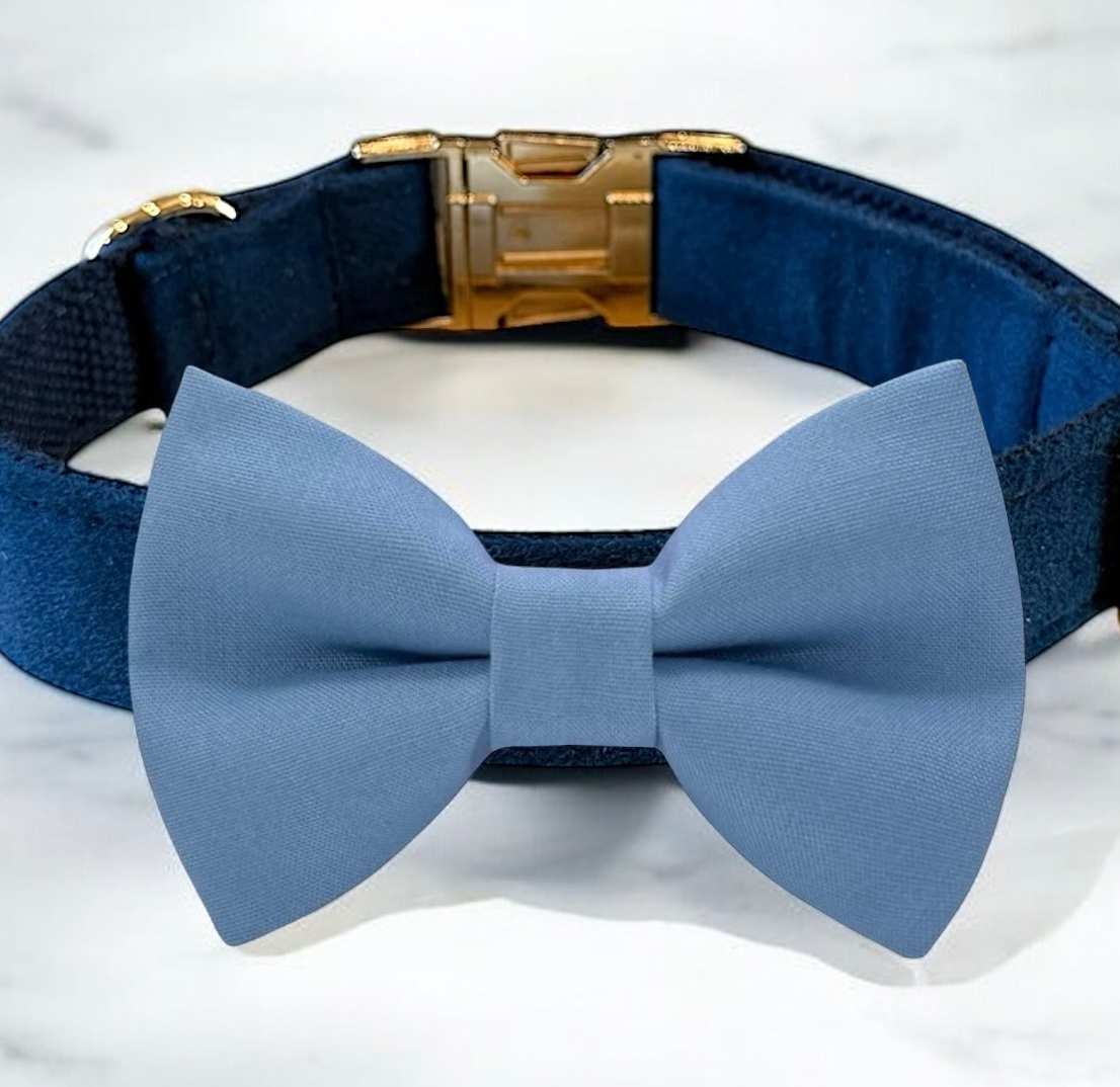 A blue bow tie with a gold buckle collar is displayed on a white marble surface.