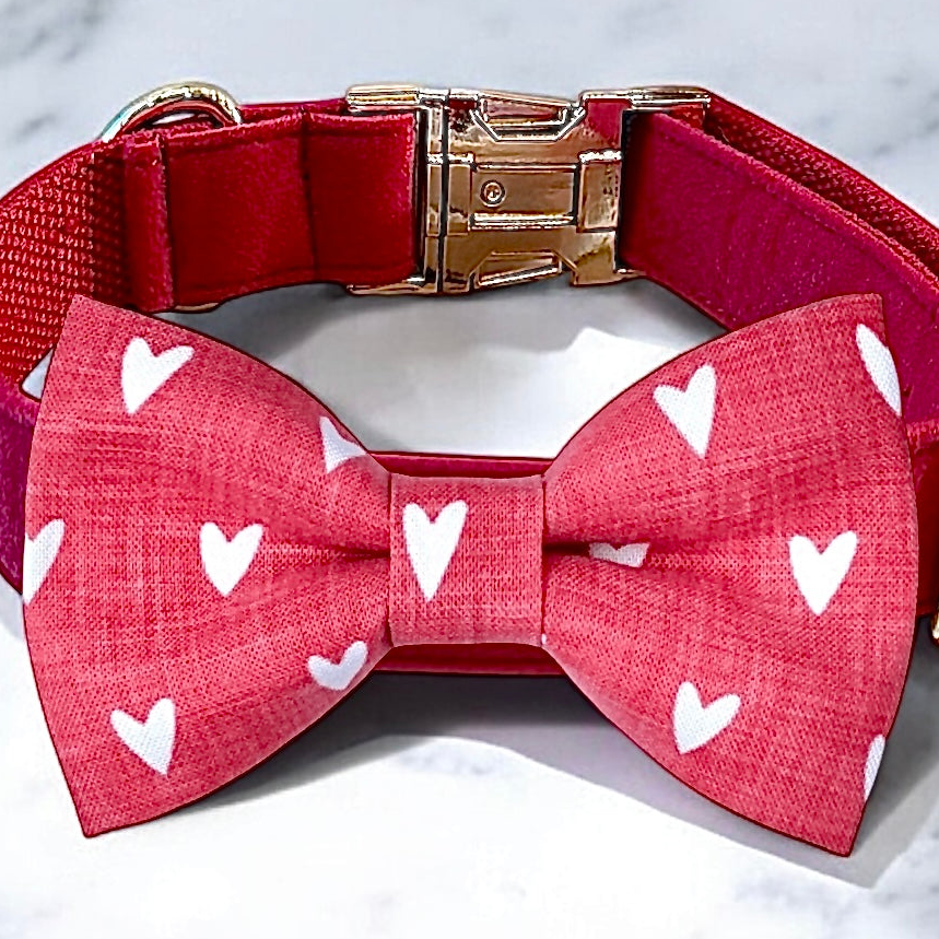 A red bow tie with white hearts on it, attached to a red collar with a gold buckle.