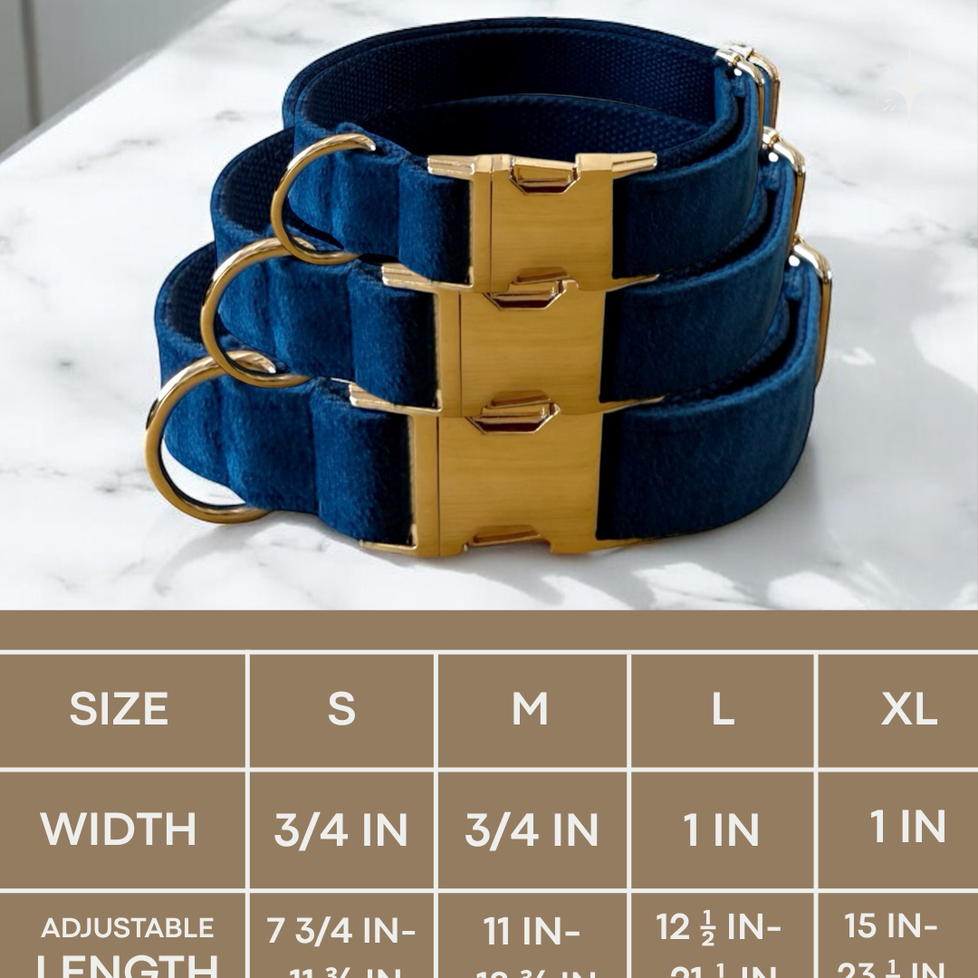 Set of blue dog collars with gold buckles on a white background, accompanied by a size chart.