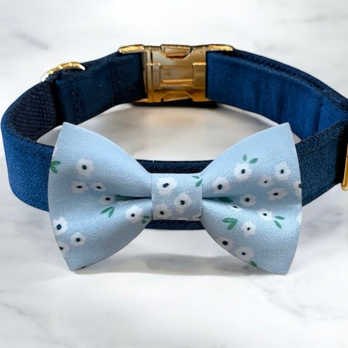 A blue collar with a gold buckle and a light blue bow tie with white flowers printed on it.