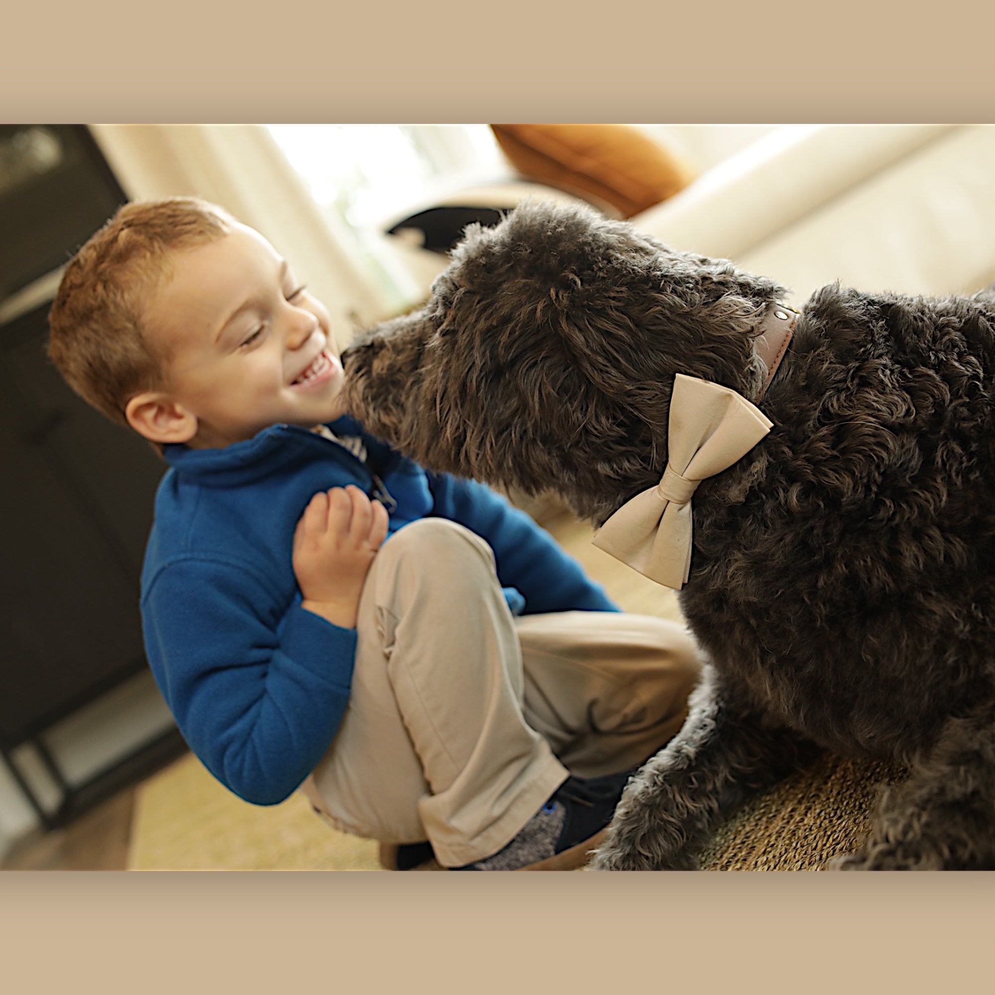Ring bearer dog and little boy at a wedding