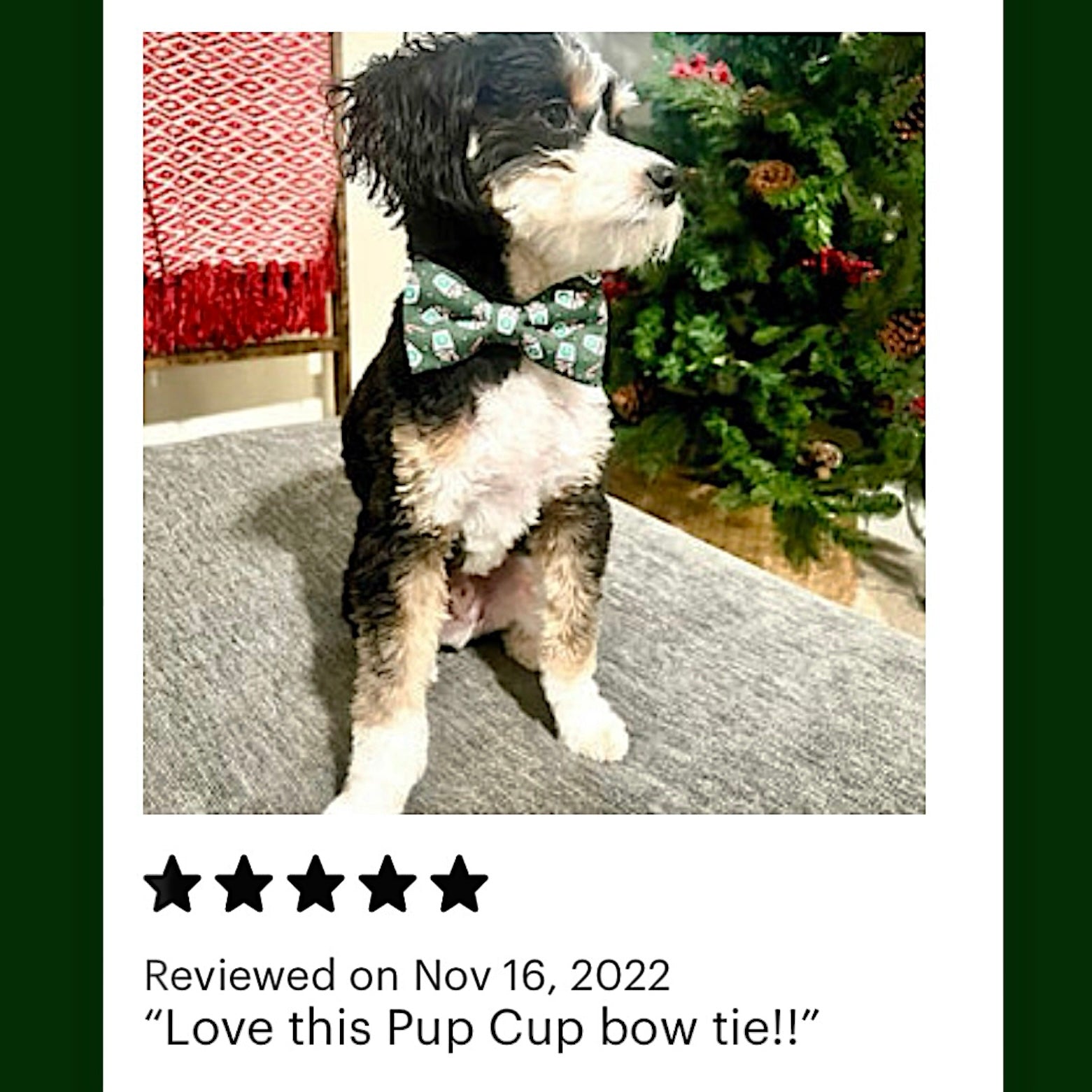 Christmas coffee dog bow tie