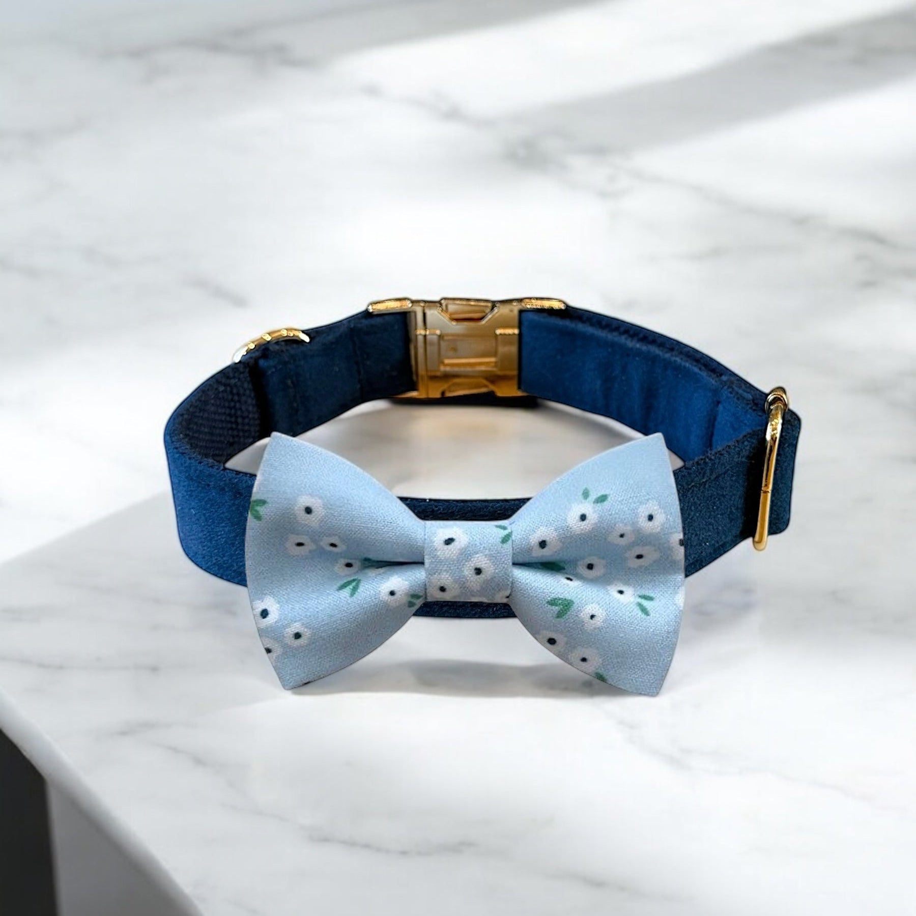 Dog collar with a blue bow tie on a marble surface