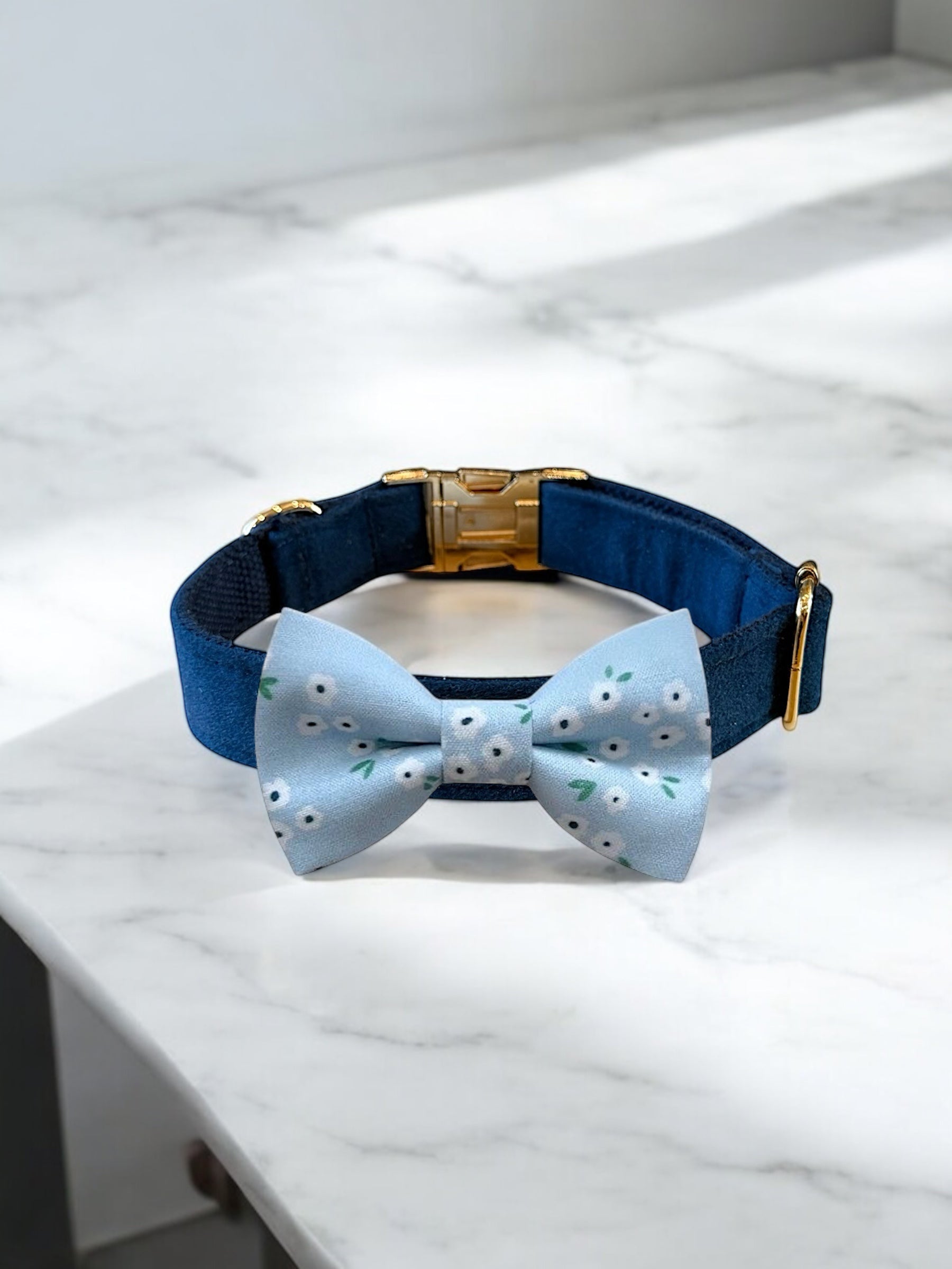 Dog collar with a blue bow tie on a marble surface