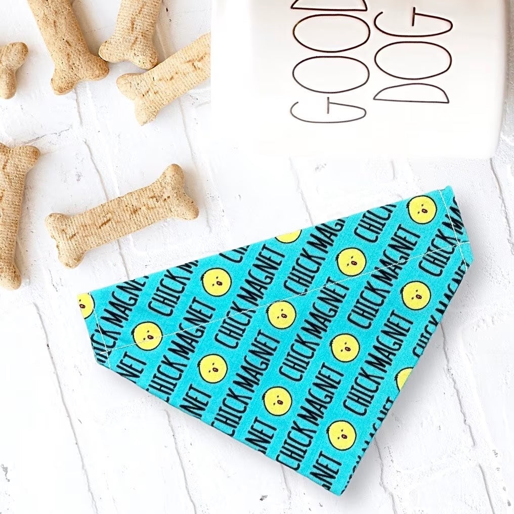 a dog bandana next to a dog bone and a bone bone