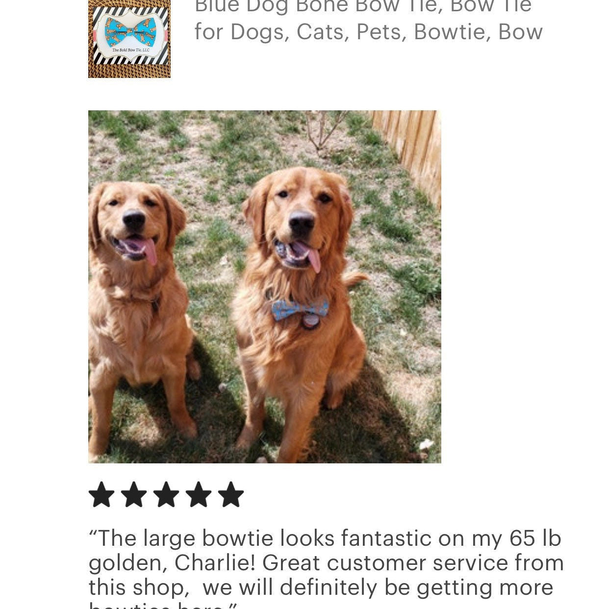 Dog bone dog bow tie