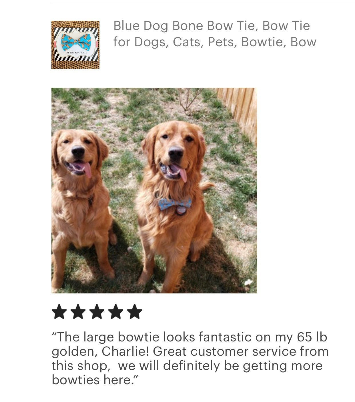 Dog bone dog bow tie