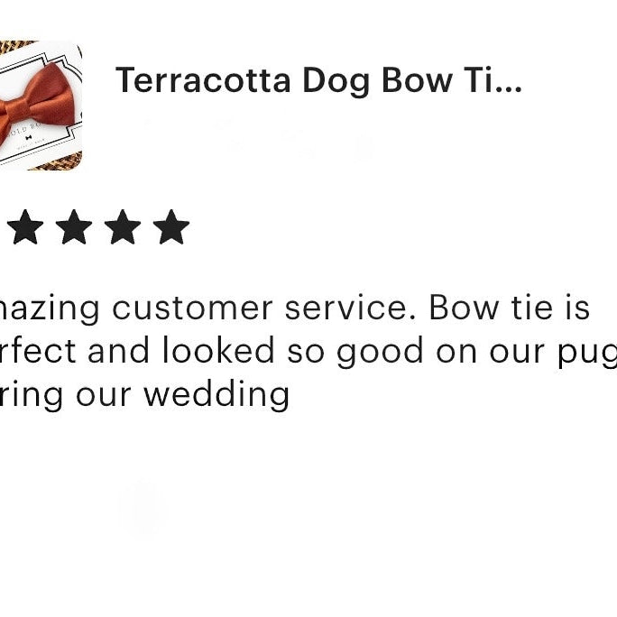 Customer review for The Bold Fluff