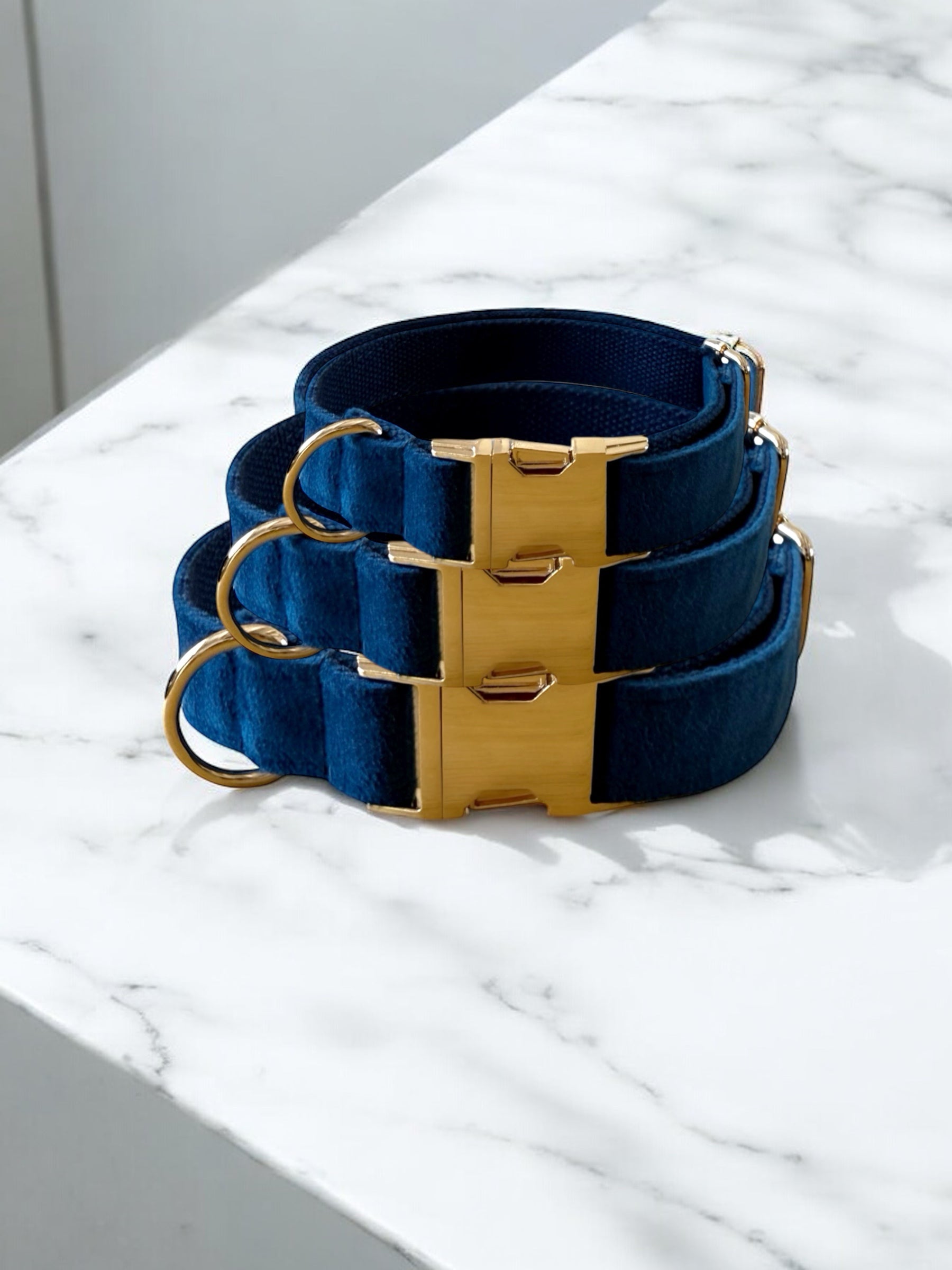 Set of blue dog collars with gold buckles on a marble surface