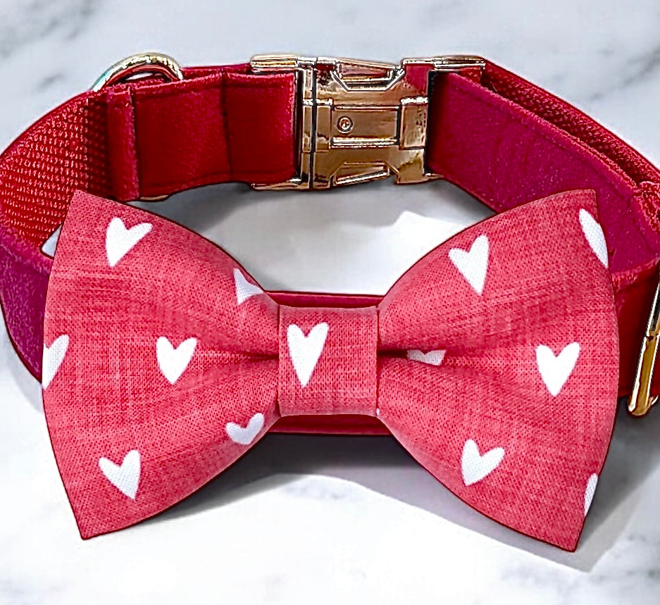 A red bow tie with white hearts on it, attached to a red collar with a gold buckle.