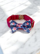 Dog collar with a floral bow tie on a marble surface