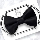 Black Dog bow tie on a decorative card with 'Fluff' branding.