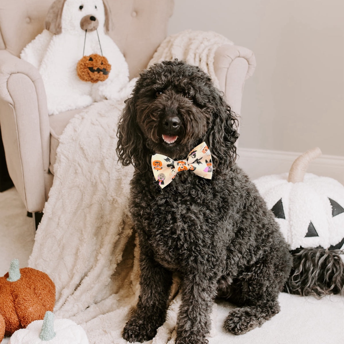 cockapoo bow tie