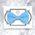 Light blue dog bow tie on a white card with 'Fluff' branding on a marble background