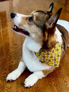 Dog Bandana with Squirrels, Squirrel Patrol Dog Bandanas for Dog Birthday Gift, Over the Collar Pet Bandana